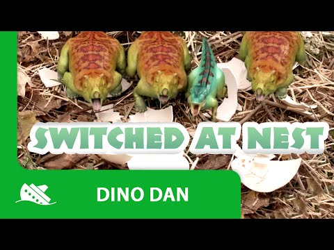 Dino Dan |  Trek's Adventures: Switched at Nest - Episode Promo