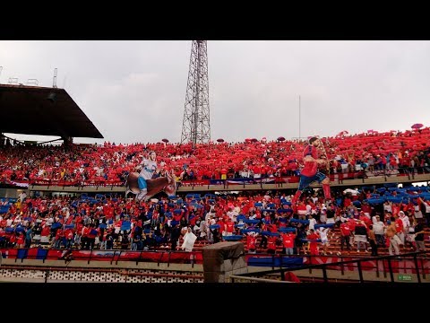 "Tifo Medellín vs Junior - Marrugo, Viera y la Burra." Barra: Rexixtenxia Norte • Club: Independiente Medellín