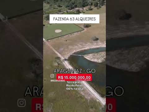 63 Alqueires em Araguapaz GO | whatsapp 62 993373-6407