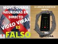 Fakes virales: aseguran que es falso el video del celular que incendia un círculo de virulana