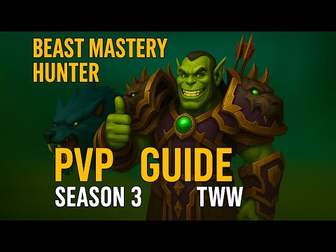 BM HUNTER PVP Guide - The War Within SEASON 3