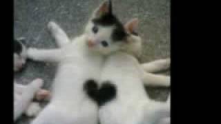 Max romeo - play with your pussy