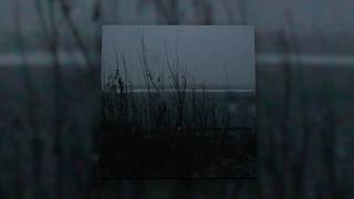 d2s1 - soon [1 Hour Loop]