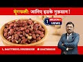 Peanuts Know The Harms By Dr Bimal Chhajer Saaol