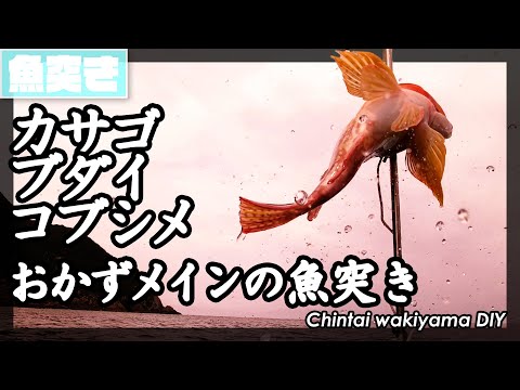 ⋆ ✔️胡椒潜水规则⋆ 🌼Farmer