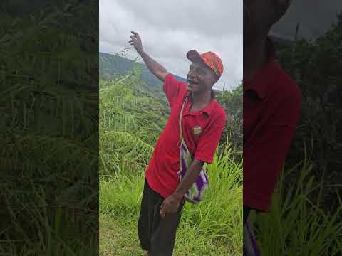 South Fore Andu Okapa Song