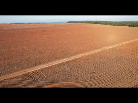 Negócio Promissor Fazenda em General Carneiro MT. Área 4.365 hectares (902 Alqueirão) Dupla Aptidão.