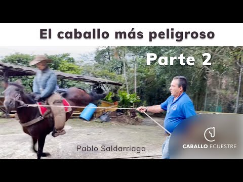 The Most Dangerous Horse - Part 2 - Overcoming Fears in Horses - Rational Horsemanship - Pablo Sa...