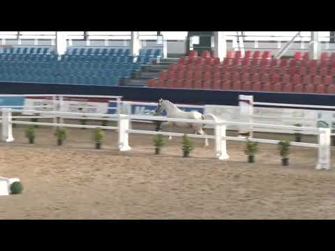 Kat. Nr. 52 RPSL Never Ending Story v. Neverland WE - FS Calimero *02.02.2023