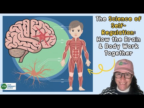 The Science of Self-Regulation: How the Brain & Body Work Together