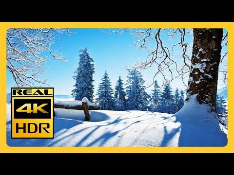 Beautiful Winter Scenes & Snowstorm Sounds Sleep RELAXING MUSIC 4K HDR TV Screensaver