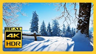 Beautiful Winter Scenes & Snowstorm Sounds Sleep RELAXING MUSIC 4K HDR TV Screensaver