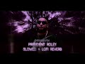Imran Khan President Roley Slowed Reverbed STSZ SOUNDZ