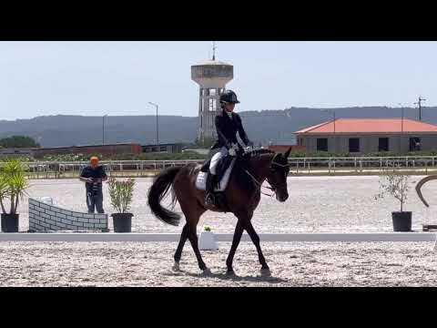 Juniores Team- Nicole e Funji 71% 🥇