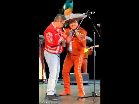 Puro Vargas si señor!! 🎶🔥 #elmundodelmariachi #mariachivargas #2023