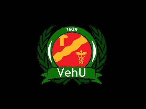 VehU FS 20v-juhladokumentti - Tarina historiasta tähän päivään