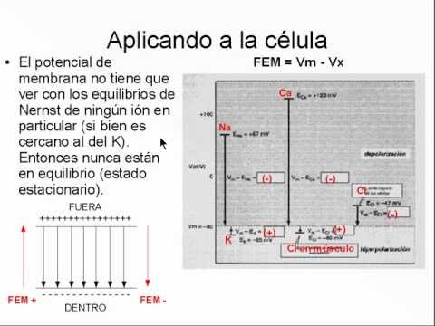 download lagu mp3 mp4 Fuerza Impulsora, download lagu Fuerza Impulsora gratis, unduh video klip Fuerza Impulsora