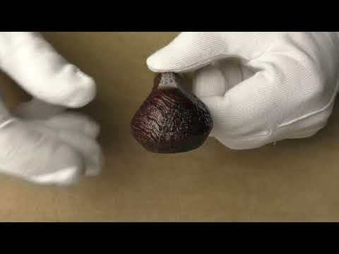 Dunhill Cumberland 3217 - pipe D520