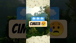 Download lagu Lagu Sunda Rya Fitria - Hujan Cimata 🎶#lagusunda #vokalsunda #musiktradisional mp3