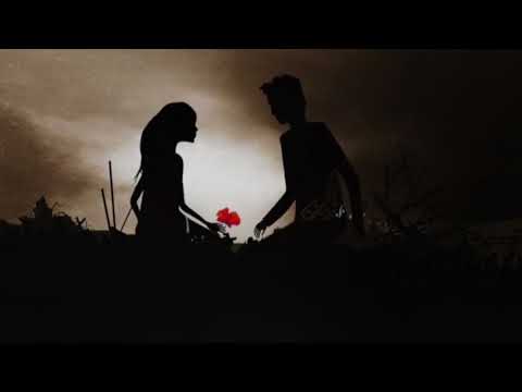 Bicircular - Fly On The Windscreen (feat. Aly Frank) - Depeche Mode Cover