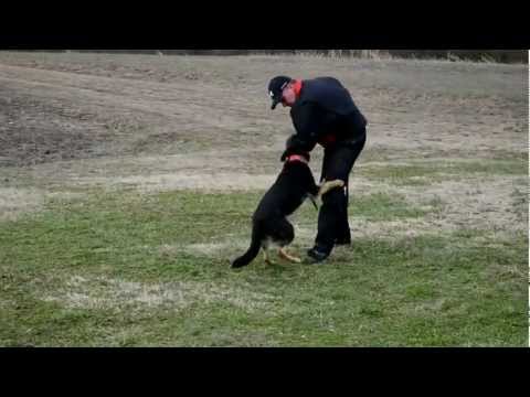 Sequoyah's Eymi z Udoli Upy