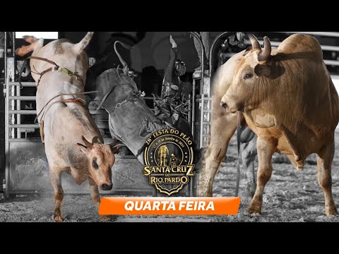 Rodeio de SANTA CRUZ DO RIO PARDO 2024 (QUARTA / MELHORES MOMENTOS)