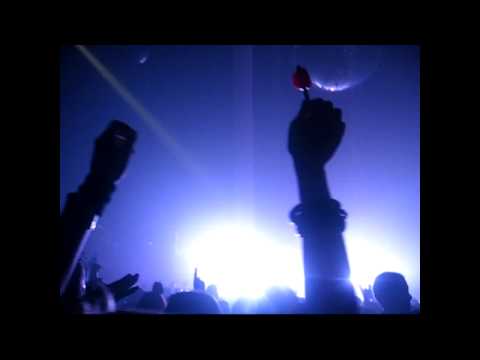 X-Qlusive Showtek HD