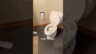 Abandoned house completely filled with spiders #shorts