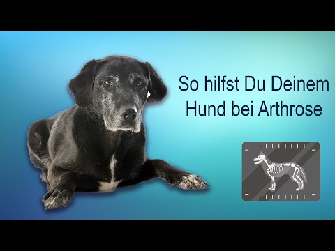 Was sind die Symptome von Gebärmutterhalskrebs thorakalen Osteochondrose Vorsprung der Halswirbelsäule, welcher Arzt