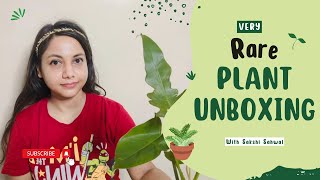 Very Rare plants Unboxing | shopping online plants India