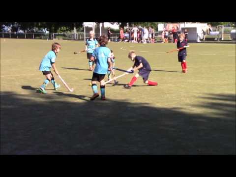 20170527 HCG JF1   Dorsteti