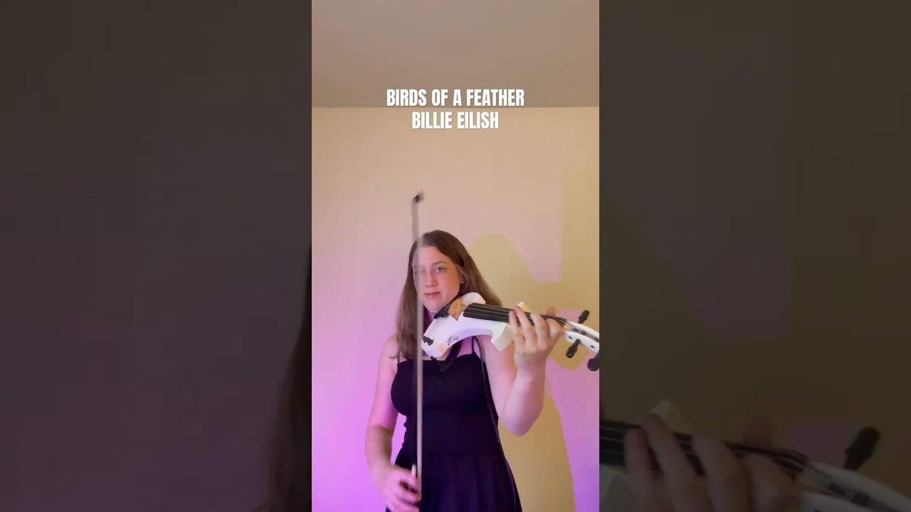 Promotional video thumbnail 5 for Sophie Thiessen, DFW Violinist