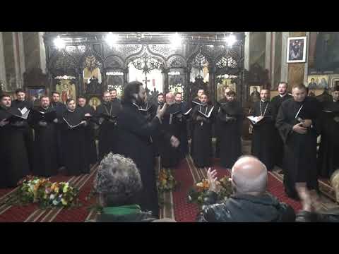 4  Corala Barbateasca SF  AP  ANDREI   Fetesti