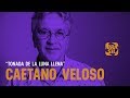 Caetano Veloso - "Tonada de La Luna Llena" l Sangue Latino