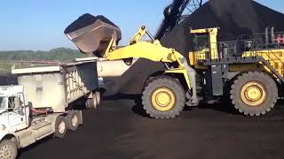 24 de novembro de 2022