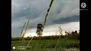 Download lagu suara pikat belibis sudah teruji d'spot belibis mp3