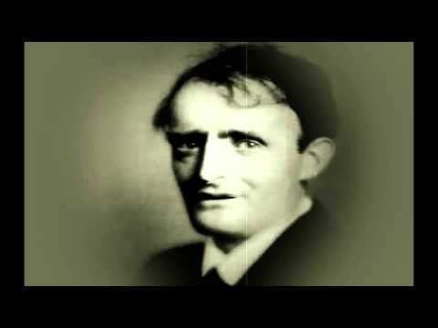 "Monkeys" High in the Beast Shop By Padraig Colum Poem animation