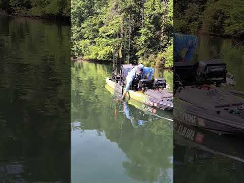 native watercraft Titan X release