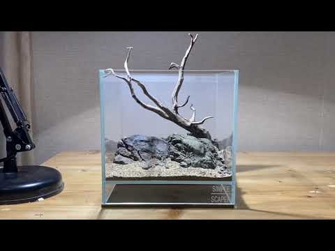 AQUASCAPE TUTORIAL : LOW TECH NO CO2 NANO CUBE TANK 20x20x20