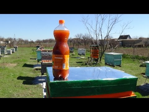 Дорабатываем Едрён Компот, новые компоненты ЕдК