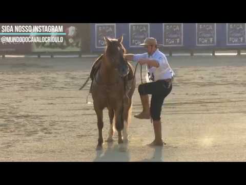 Freio de Ouro 2016 Harmonia Temprano