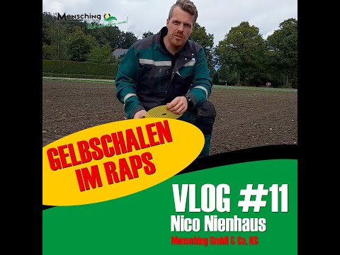 Mensching GmbH & Co. KG | Nicos Vlog#11 - Gelbschalen im Raps