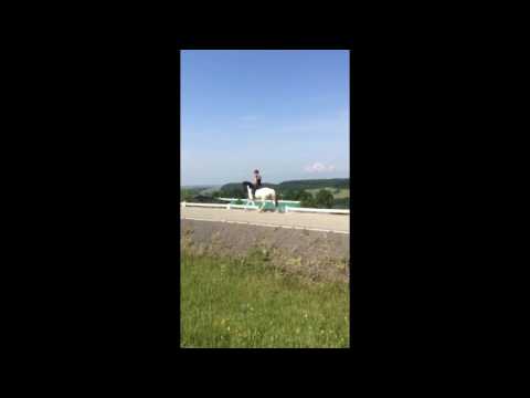 Ljúfur vom Grenzland