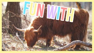 Headbanging Buffalo - Fun with | Furry Friends