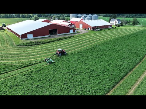 Making Gorgeous Alfalfa with my Dad (Step by Step Guide)