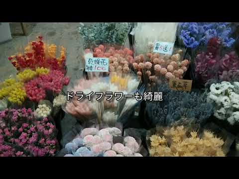 Excursão ao Mercado de Flores de Jianguo em Taipei