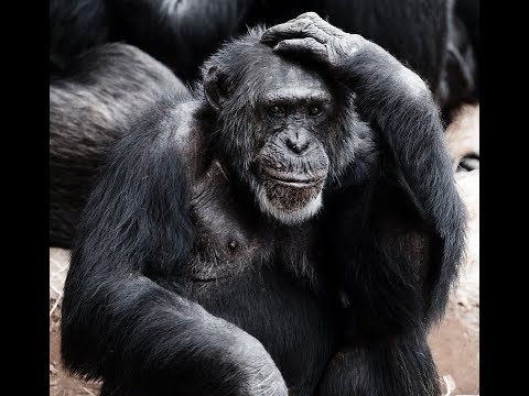 Die komischten Leute meiner Community