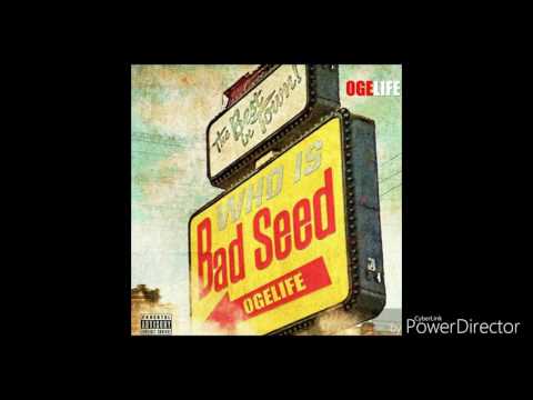 Bad Seed - My City