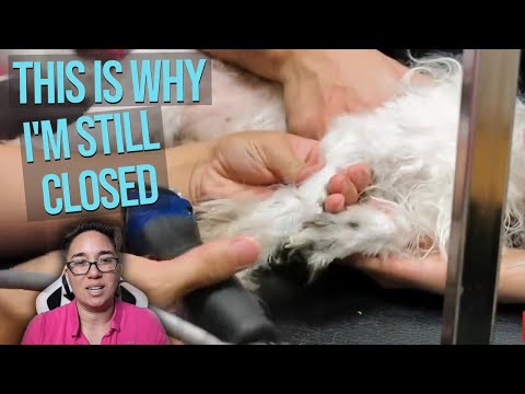 senior discount petsmart