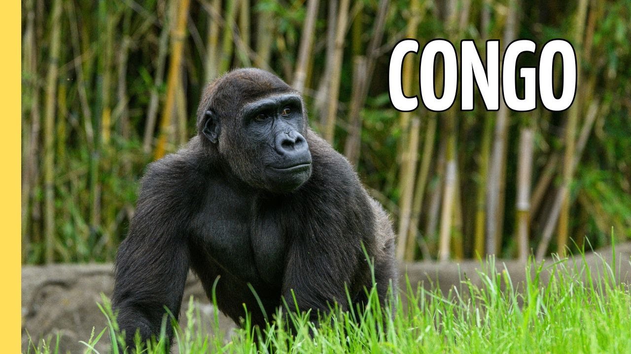 Congo - Profundo y Peligroso | Episodio Completo